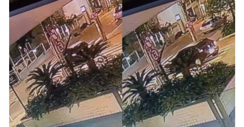 Casal é atingido por tiros após sair de shopping de Florianópolis