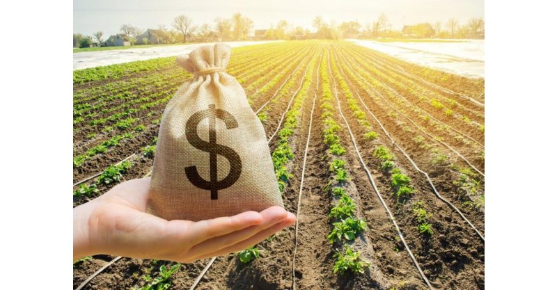 Agro catarinense lidera exportações estaduais com US$ 7,57 bilhões