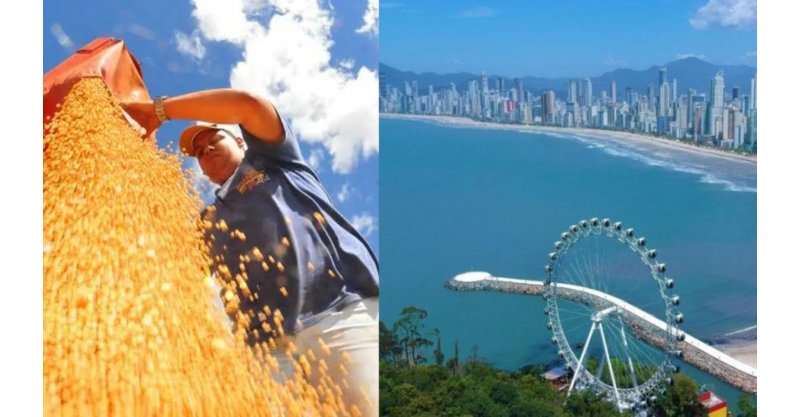 Apólice de seguro’: agro já representa 30% dos investidores em imóveis de luxo em SC