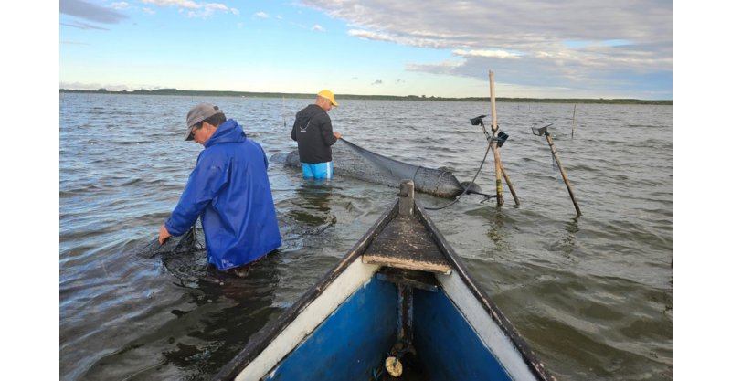Após mais de 20 anos/espera/portaria/Governo Federal é assinada/pesca artesanal/camarão ganha regulamentação histórica para SC