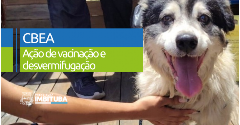 Centro de Bem-Estar Animal promove 2ª ação gratuita de vacinação e desvermifugação em Imbituba
