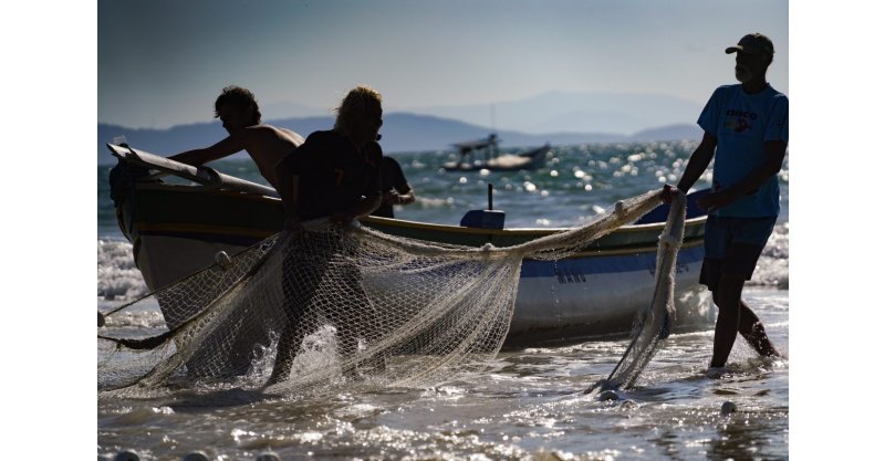 Cerca de 17,7 mil pescadores em SC podem perder a licença para trabalhar; entenda