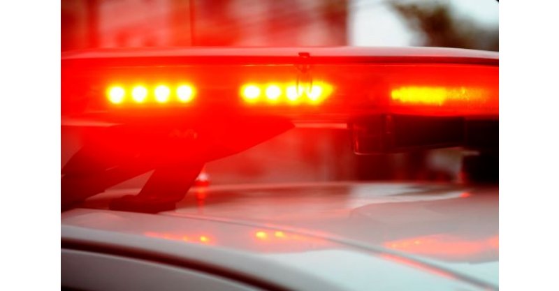 Criciúma: mulher é encontrada morta em mata às margens de rodovia