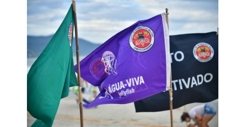 cuide-se / Jaguaruna lidera lesões por águas-vivas