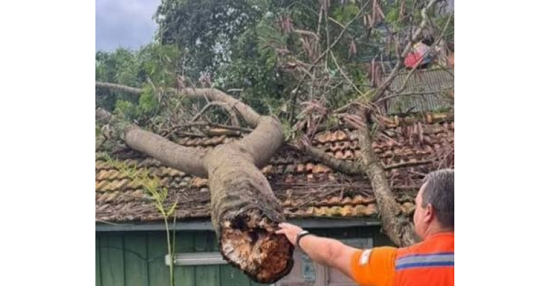 Florianópolis registra chuva, queda de árvore e deslizamento enquanto instabilidade persiste neste sábado