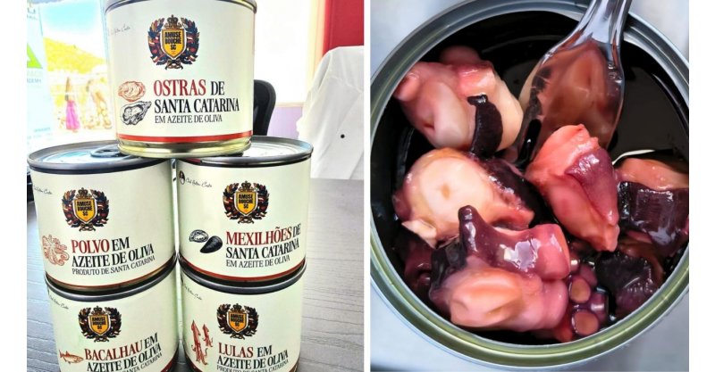 Florianópolis sai na frente e ganha primeira fábrica de ostras e mexilhões enlatados do Brasil