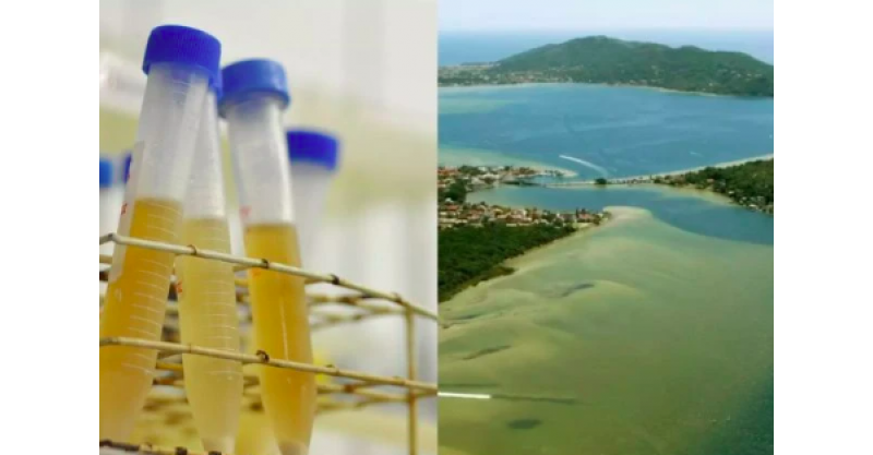 Florianópolis / Saiba de onde vem cocaína encontrada na Lagoa da Conceição, no município