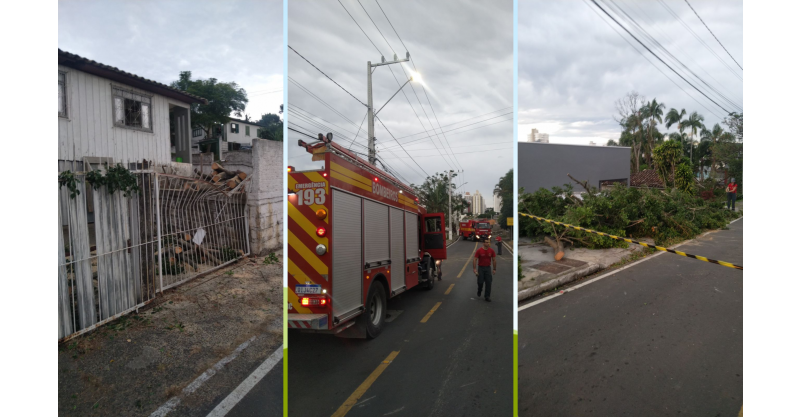 Fortes ventos provocam queda de árvores em Criciúma, Içara, Urussanga e Lauro Müller