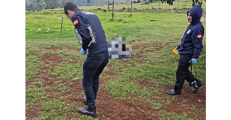 Homem é morto em boate após agredir ex-companheira que estava trabalhando, em SC