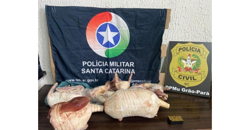 Homem é preso com munições e carcaças de animais silvestres em freezer