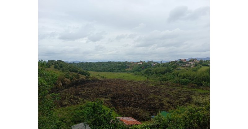 Imbituba / Incêndio atinge Área de Preservação Permanente (APP) e pode ter sido criminoso e caso é investigado