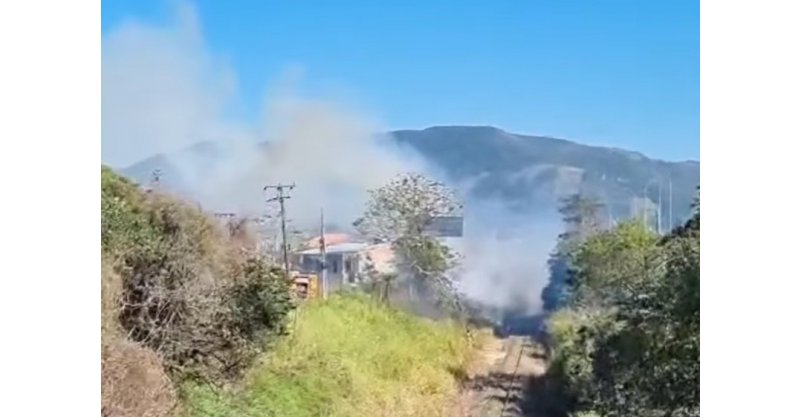 Incêndio em vegetação causa transtornos em Cabeçuda