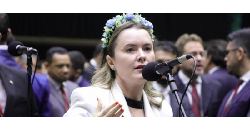 Julia Zanatta quer proibir uso de drones em fiscalizações em SC