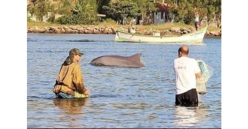 Laguna celebra o Dia do Boto Pescador e reforça a importância da pesca cooperativa