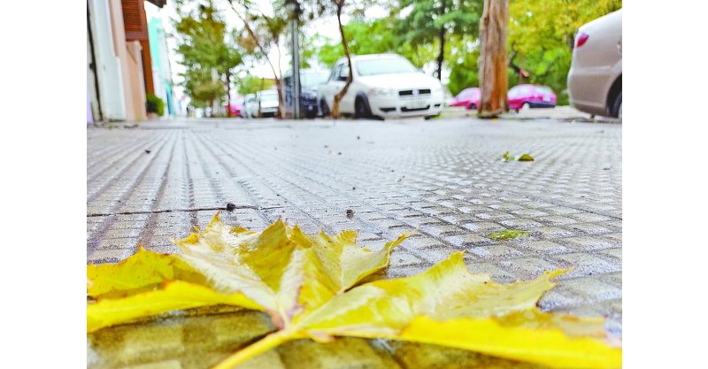 Outono 2025: calor persiste e estação chega sem El Niño e La Niña
