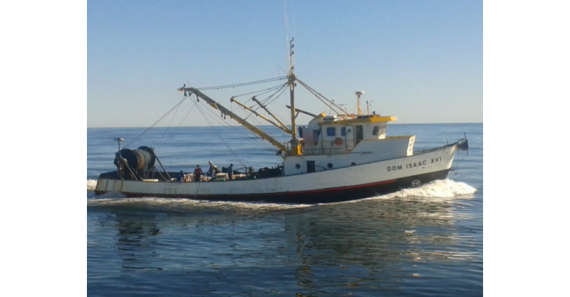 Pescadores de Santa Catarina ganham incentivo fiscal de mais de 60 milhões de litros de diesel