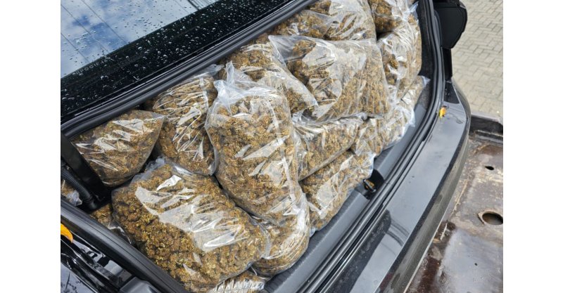 Polícia apreende 47 quilos de skunk em operação entre Imbituba e Garopaba