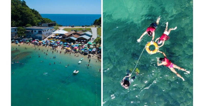 Praia de águas cristalinas revela paraíso para o mergulho ecológico em família em SC