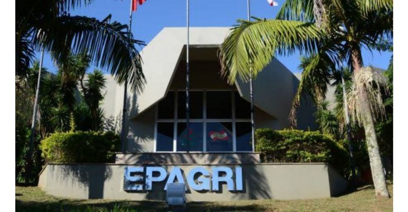 Programa de demissão voluntária da Epagri leva ao desligamento de 673 funcionários em SC