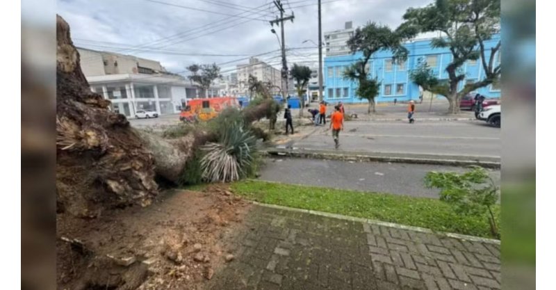 Rajadas de vento chegam a quase 90 km/h em Urupema; veja ranking dos municípios em SC