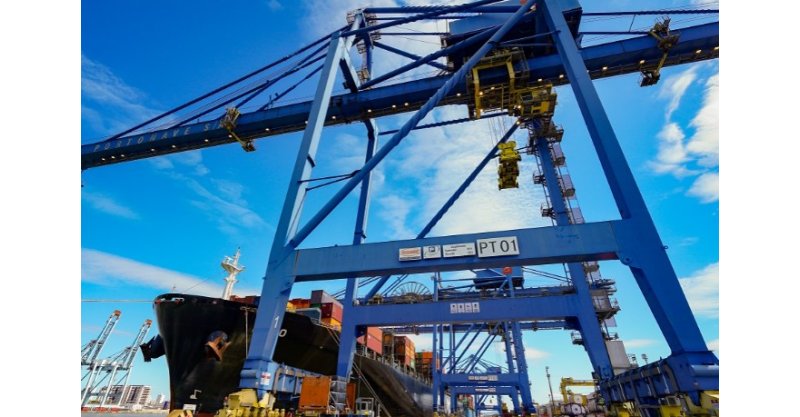 Santa Catarina é líder nacional em exportação de madeira e móveis