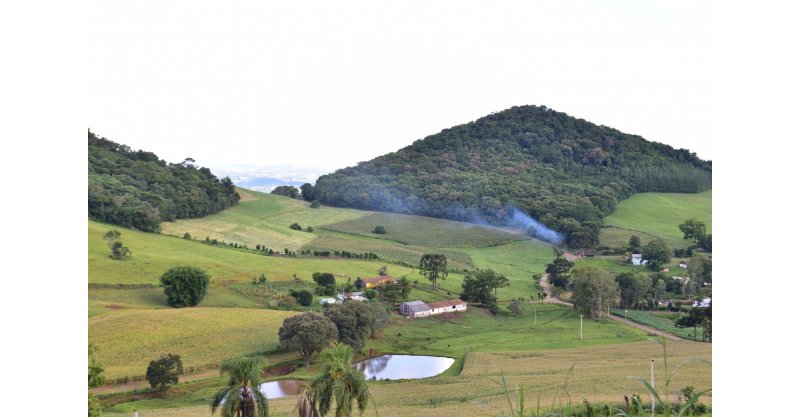 SC se destaca no novo Plano Safra com subvenção de juros para agricultores