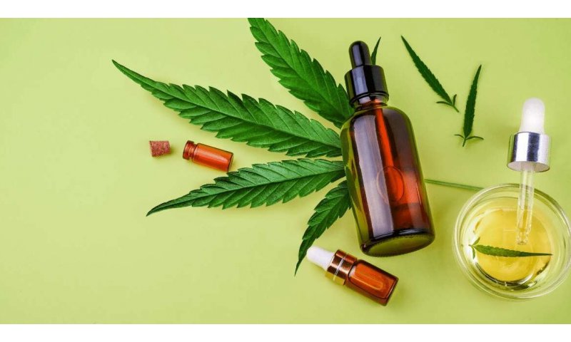 SC tem nova lei que aumenta acesso a medicamentos à base de cannabis pelo SUS