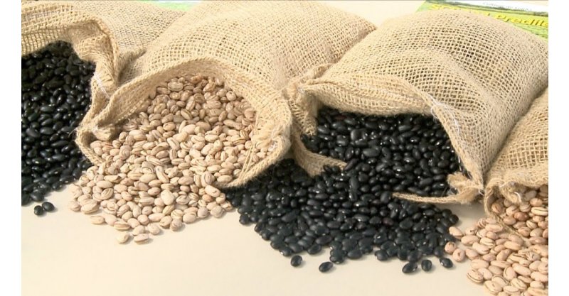 SC zera ICMS de arroz, feijão e quatro tipos de farinha; entenda