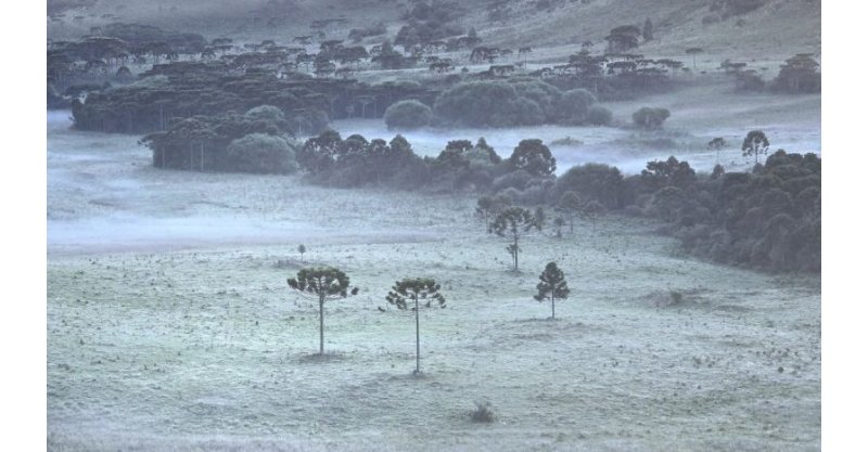 Serra catarinense registra geada e temperaturas de 3°C em pleno verão