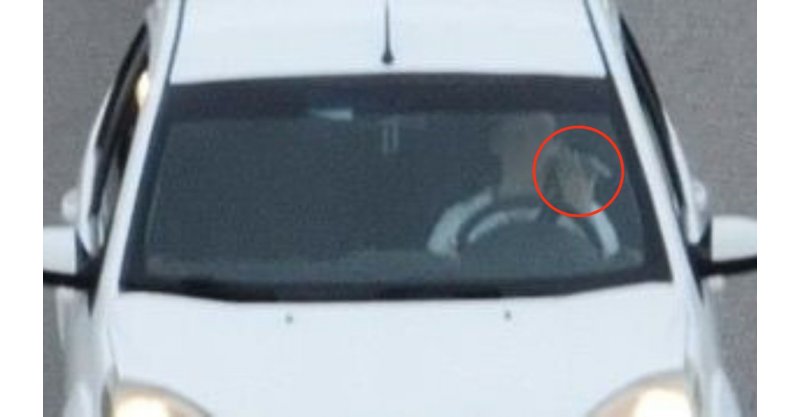 Sorria, você está sendo filmado! Drones flagram motoristas sem cinto e usando celular na BR-282