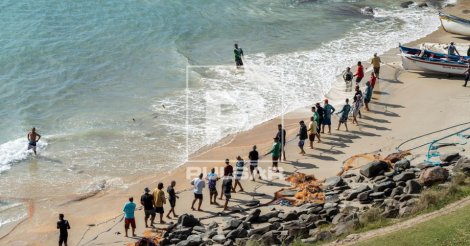  ATENÇÃO /  UTILIDADE PÚBLICA - Safra da Tainha