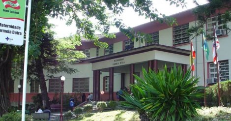 Abelhas são encontradas em quarto da Maternidade Carmela Dutra, no Centro de Florianópolis