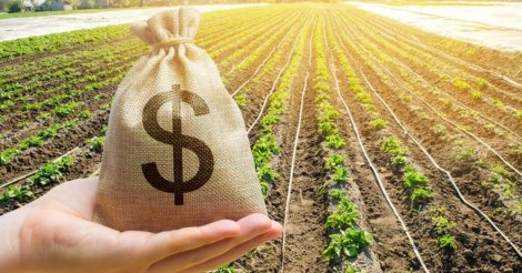 Agro catarinense lidera exportações estaduais com US$ 7,57 bilhões