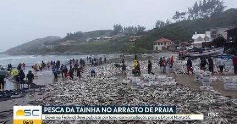 Após reação em SC, governo federal diz que irá ampliar cota para captura de tainha de arrasto