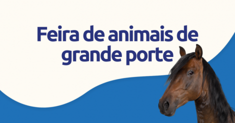 Bem-estar Animal realizará evento de apresentação e cadastramento para adoção de animais de grande porte