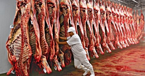 Brasil deve produzir mais de 31 milhões de toneladas de carnes em 2025