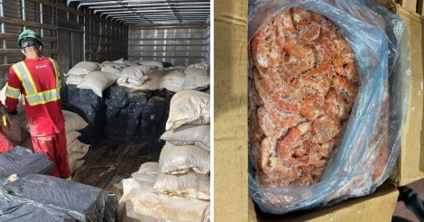 Caminhão vindo da fronteira com a Argentina escondia 5 toneladas de camarão sob palha de arroz
