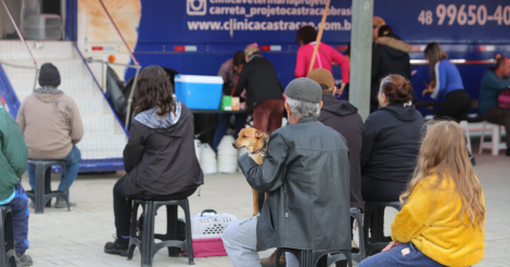Centro de Bem-Estar Animal promove novo mutirão de castração de cães e gatos