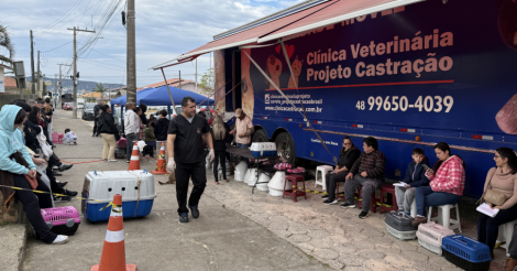 Centro de Bem-Estar Animal realiza mais de 500 castrações durante mutirão em Imbituba