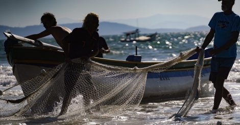 Cerca de 17,7 mil pescadores em SC podem perder a licença para trabalhar; entenda