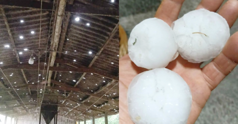 Chuvas intensas e granizo afetam 1.558 casas e fazem sete municípios decretarem Situação de Emergência em SC