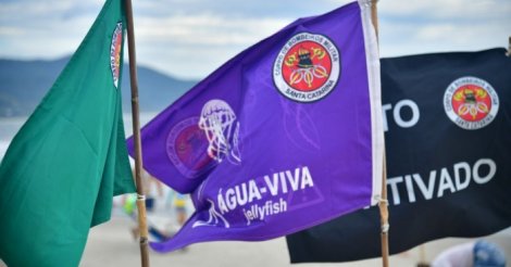 cuide-se / Jaguaruna lidera lesões por águas-vivas