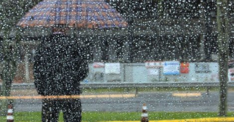 Defesa Civil divulga cidades com maior acúmulo de chuva nas últimas 24 horas em SC