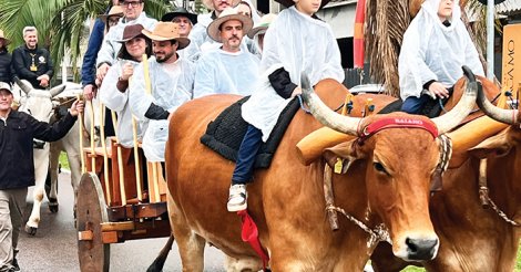 Desfile de carros de boi emociona Tubarão após mais de 30 anos