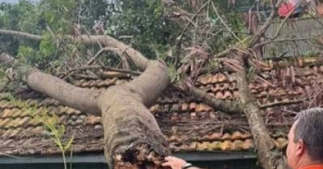 Florianópolis registra chuva, queda de árvore e deslizamento enquanto instabilidade persiste neste sábado