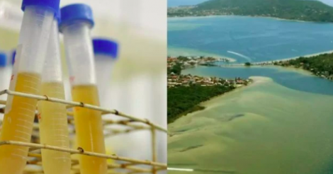 Florianópolis / Saiba de onde vem cocaína encontrada na Lagoa da Conceição, no município