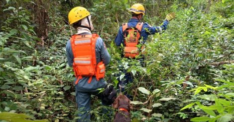 Homem desaparecido é encontrado morto após buscas
