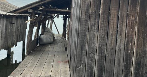 Homem é encontrado morto com sinais de violência em rancho de pesca em Imaruí; Polícia Civil investiga o caso