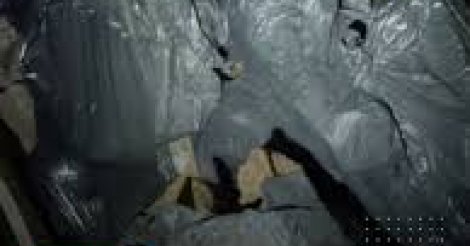 Homem é flagrado com crânio humano na mochila para 'ritual de magia' em SC, diz PM