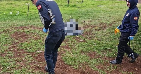 Homem é morto em boate após agredir ex-companheira que estava trabalhando, em SC